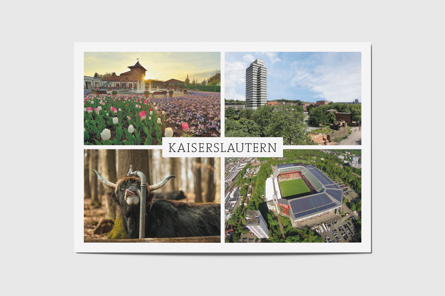 Kaiserslautern: Gartenschau, Rathaus, Wildpark, Stadion